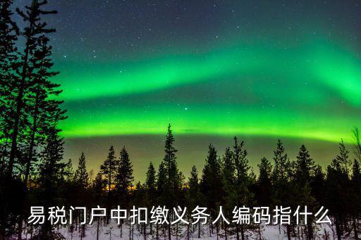 扣繳義務(wù)人識別碼是什么，易稅門戶中扣繳義務(wù)人編碼指什么