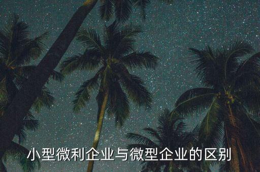 小型微利企業(yè)指的是什么，小型微利企業(yè)與微型企業(yè)的區(qū)別