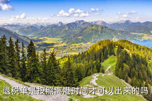 退稅單一般什么時候下來，退稅單是按照離港時間才可以出來的嗎