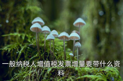 增加開(kāi)票人需要什么資料，申請(qǐng)開(kāi)票人變更需要哪些材料