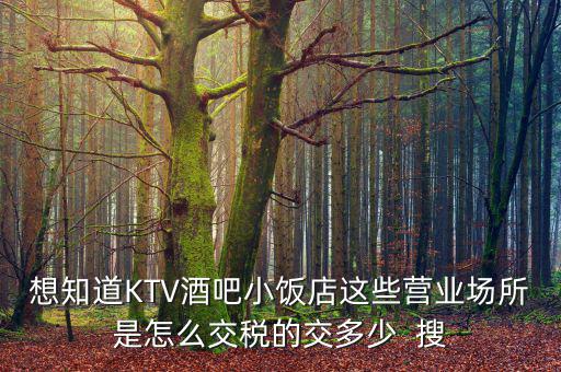 ktv交納什么稅，想知道KTV酒吧小飯店這些營業(yè)場所是怎么交稅的交多少  搜