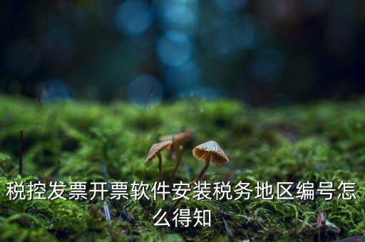 發(fā)票地區(qū)編號填什么，稅控發(fā)票開票軟件安裝稅務(wù)地區(qū)編號怎么得知