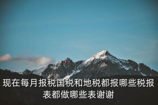 國稅報什么，現(xiàn)在每月報稅國稅和地稅都報哪些稅報表都做哪些表謝謝