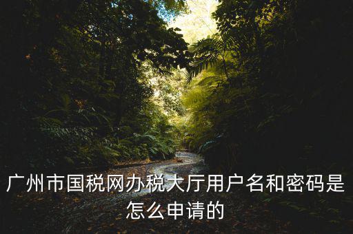 廣州國稅官網(wǎng)登錄密碼是什么原因，國稅第一次網(wǎng)上申報的登陸密碼是什么