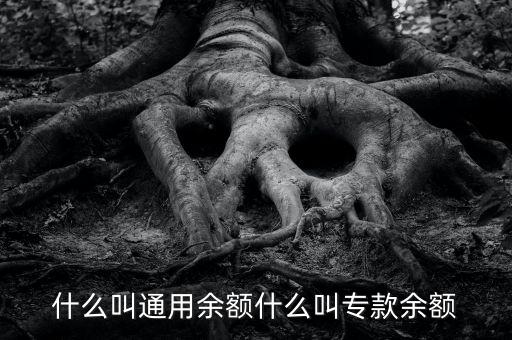 什么叫通用余額什么叫?？钣囝~
