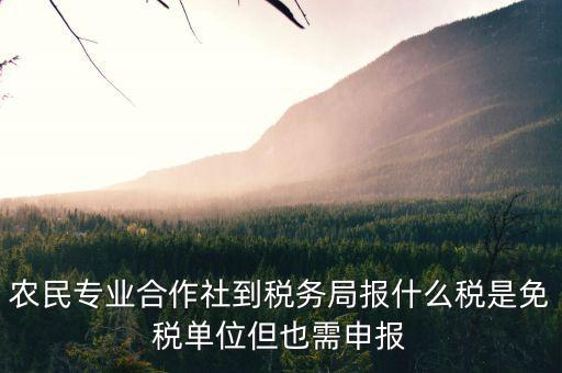 合作社應(yīng)報(bào)什么稅，農(nóng)民專業(yè)合作社是怎樣報(bào)稅的是企業(yè)還是個(gè)體戶