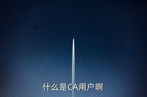 稅務(wù)總局ca系統(tǒng)是什么意思，Ca是什么