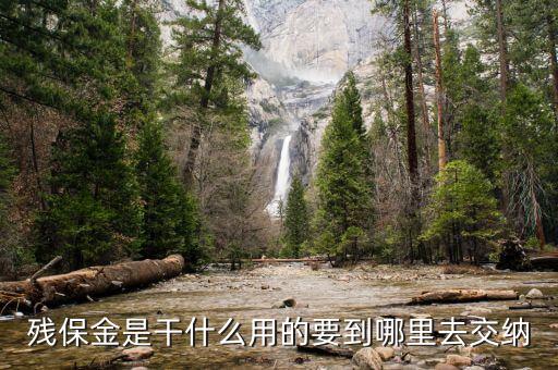 殘疾人保障金干什么用，殘疾就業(yè)保帳金是干什么的