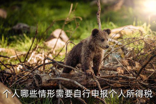 什么人申報(bào)個(gè)稅，個(gè)人哪些情形需要自行申報(bào)個(gè)人所得稅