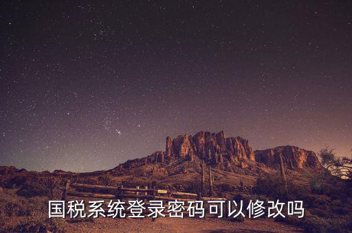 如何修改國(guó)稅申報(bào)登錄密碼是什么意思，國(guó)稅網(wǎng)上申報(bào)密碼忘記了怎么重設(shè)