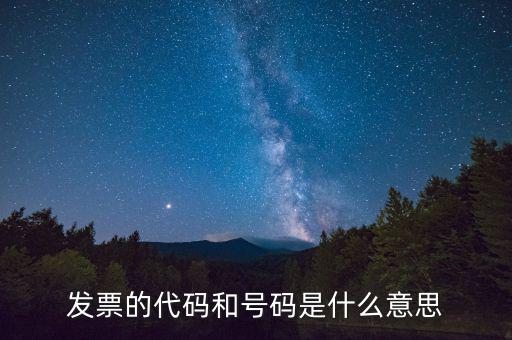 發(fā)票信息代碼是什么，發(fā)票紙質(zhì)代碼是什么意識(shí)