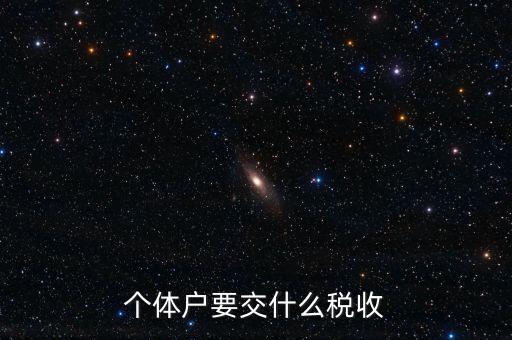 個體地稅交什么稅，個體戶要交什么稅收