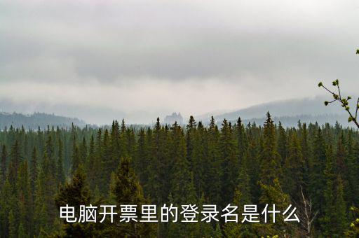電子稅務(wù)局登錄賬號(hào)是什么意思，企業(yè)金稅盤(pán)系統(tǒng)用來(lái)開(kāi)票抄稅報(bào)稅用那登錄國(guó)稅地稅局網(wǎng)站是干嘛的
