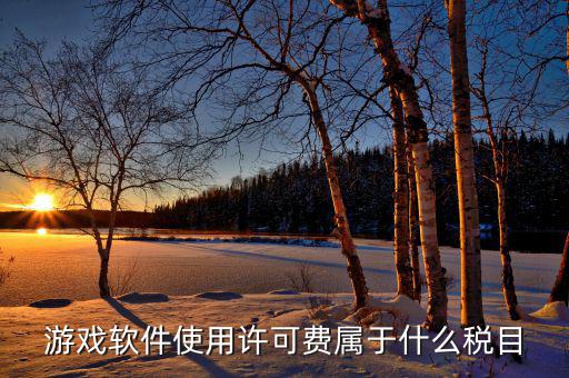 軟件使用費交什么稅，軟件使用費應(yīng)開國稅發(fā)票還是地稅發(fā)票