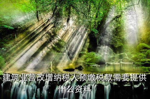 預(yù)繳增值稅要什么資料，在外地有個(gè)工程想用人工費(fèi)發(fā)票增值稅來(lái)抵預(yù)交稅款的增值稅需