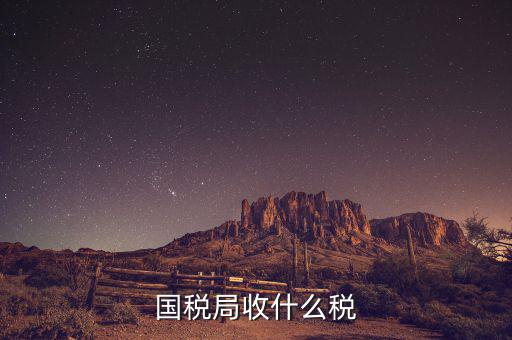 南寧國稅局收什么的稅，請教南寧國稅納稅具體多少以1000元收入為例
