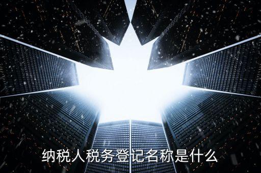 納稅人稅務登記名稱是什么