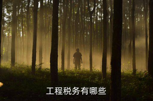 稅務(wù)三代項(xiàng)目是什么，通常說(shuō)的三稅是指什么啊
