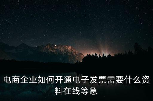 電商企業(yè)如何開(kāi)通電子發(fā)票需要什么資料在線(xiàn)等急