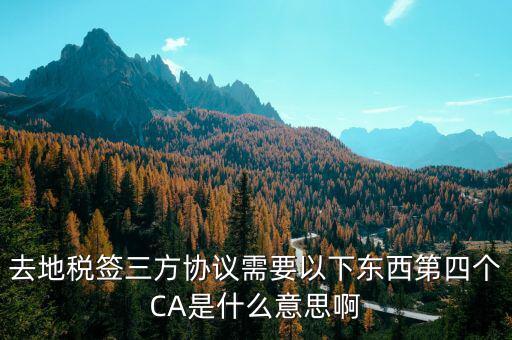 稅務局ca是什么意思，去地稅簽三方協(xié)議需要以下東西第四個CA是什么意思啊