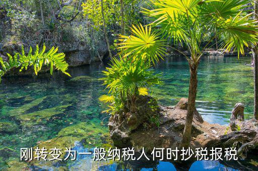 什么時(shí)候抄報(bào)稅，什么時(shí)候去國稅局抄稅
