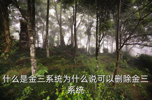 國稅金三系統(tǒng)是什么，什么是金三系統(tǒng)為什么說可以刪除金三系統(tǒng)