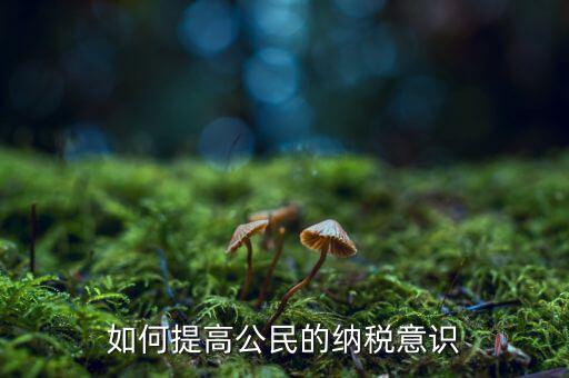 什么是納稅漫畫宣傳，魁拔第一部的投入官方說是3500萬一部動漫為什么投資那么大都花