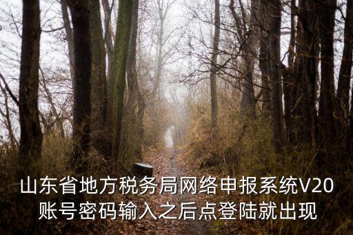 山東省地方稅務局網(wǎng)絡(luò)申報系統(tǒng)V20 賬號密碼輸入之后點登陸就出現(xiàn)