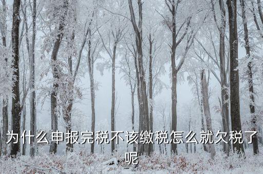 為什么國稅欠稅不催繳，因稅務(wù)機關(guān)原因未能及時繳納稅款是否屬于欠稅