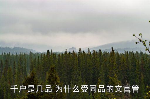什么千戶集團，千戶是什么意思