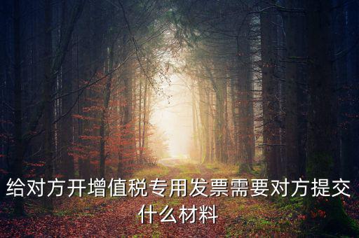 開專票要什么資料，加油卡開增值稅專用發(fā)票需要什么資料