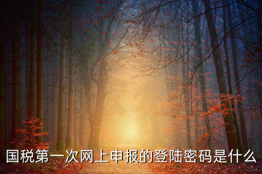 網(wǎng)上稅稅通密碼是什么，國稅第一次網(wǎng)上申報的登陸密碼是什么