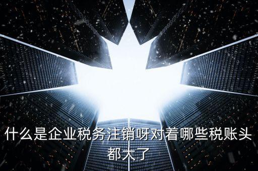 什么是錯(cuò)峰預(yù)約辦稅，網(wǎng)上辦稅系統(tǒng)納稅人未開通使用此介入軟件是什么意思