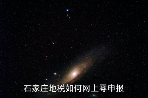 石家莊地稅如何網上零申報