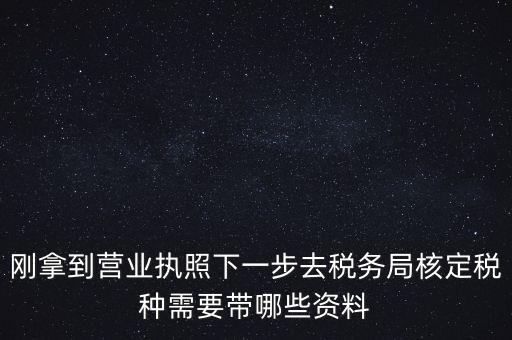 剛拿到營業(yè)執(zhí)照下一步去稅務局核定稅種需要帶哪些資料