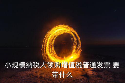 申領(lǐng)普通發(fā)票需要什么，小規(guī)模納稅人領(lǐng)購增值稅普通發(fā)票 要帶什么