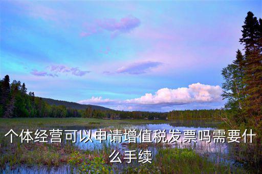 個(gè)體打印發(fā)票需要什么資料，開個(gè)人增值稅發(fā)票需要什么資料
