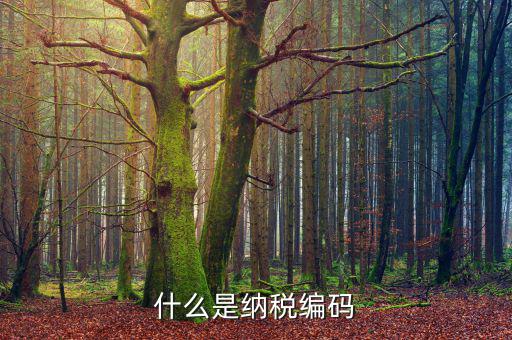 什么是納稅登記編碼，什么是納稅編碼