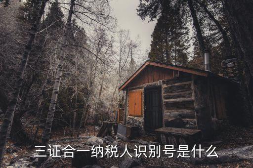 稅號(hào)識(shí)別號(hào)是什么意思，納稅人編碼 納稅人識(shí)別號(hào)有什么區(qū)別