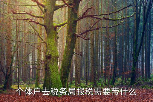 個(gè)體戶定稅需要帶什么意思，個(gè)體戶去稅局交稅都需要帶甚么