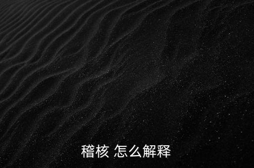 發(fā)票稽核補(bǔ)稅什么意思，稽核 怎么解釋