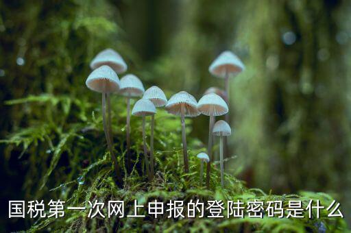 國稅登記密碼是什么，國稅第一次網(wǎng)上申報的登陸密碼是什么