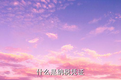 增值稅納稅憑證是什么，什么是納稅憑證