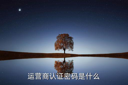 網(wǎng)上認(rèn)證密碼密碼是什么，一般上網(wǎng)認(rèn)證系統(tǒng)初始密碼是什么