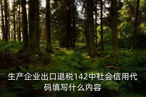 出口退稅系統(tǒng)企業(yè)代碼是什么，進(jìn)出口企業(yè)代碼就是同個(gè)意思嗎