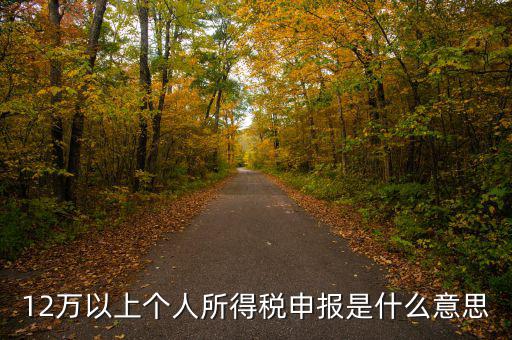 申報個稅什么意思，個稅明細申報是指什么