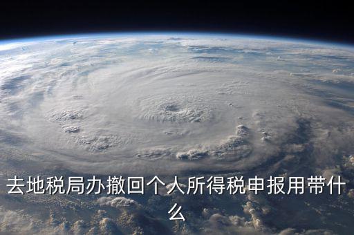 去地稅作廢申報需要帶什么影響，去地稅局辦撤回個人所得稅申報用帶什么