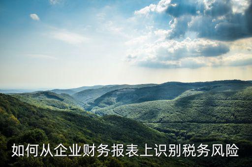 稅務(wù)風(fēng)險(xiǎn)核查是什么意思，虛開增值稅專用發(fā)票核查 什么意思