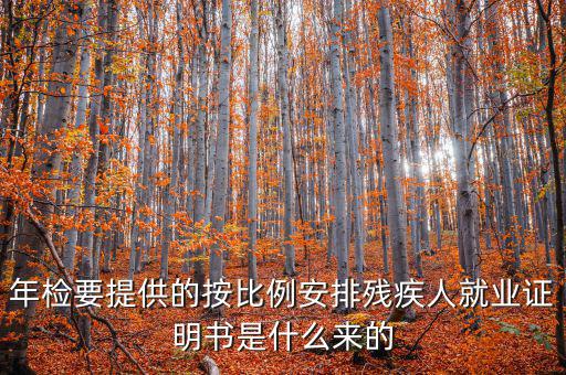 年檢要提供的按比例安排殘疾人就業(yè)證明書(shū)是什么來(lái)的