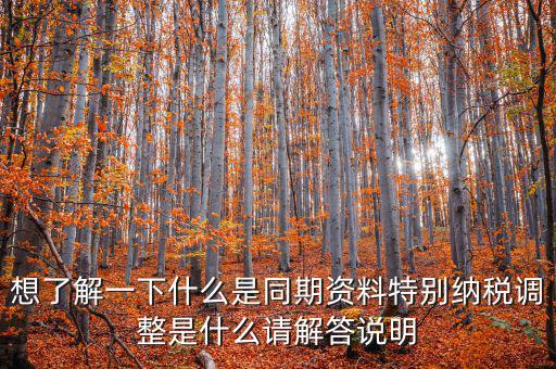 什么是特別納稅調(diào)整監(jiān)控管理階段，想了解一下什么是同期資料特別納稅調(diào)整是什么請解答說明